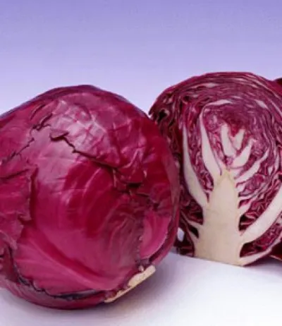 Top 10 loại thực phẩm màu tím có thể đẩy lùi lão hóa, giữ làn da tươi trẻ